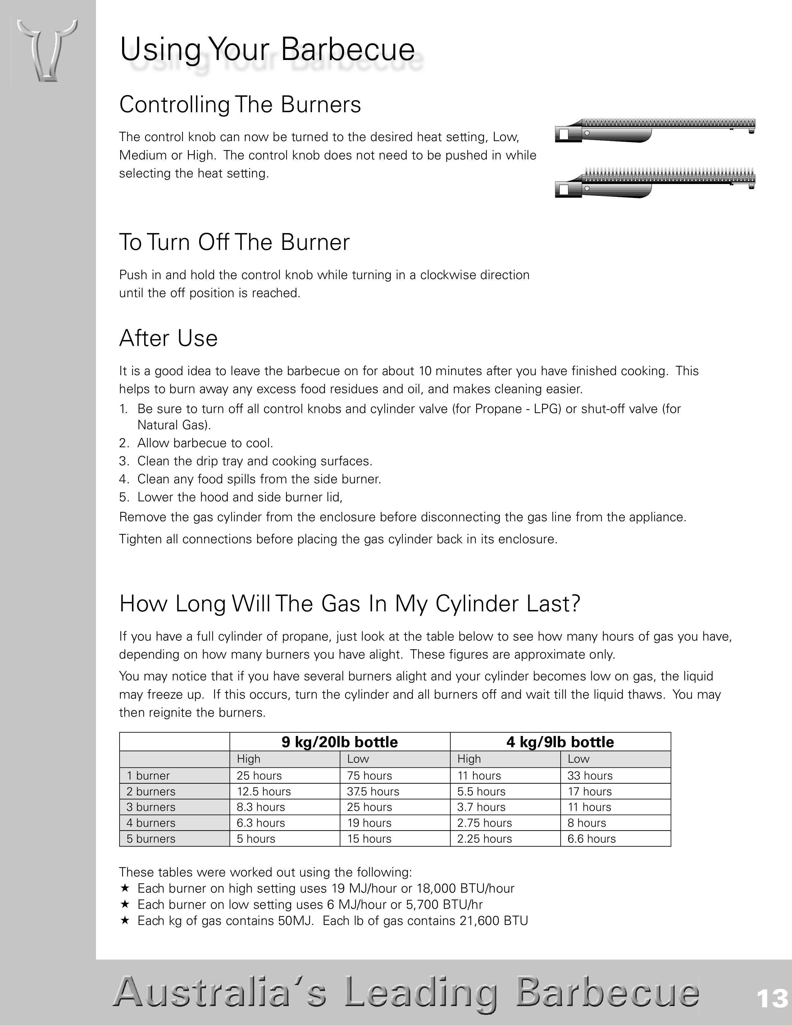 BeefEater SL4000s Charcoal Grill User Manual (Page 13)