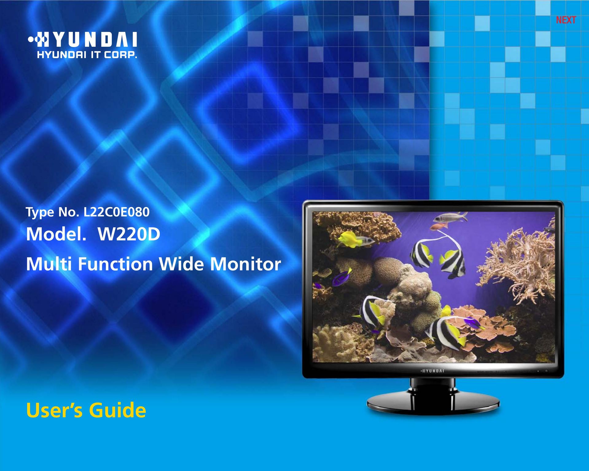 Hyundai W220D Computer Monitor User Manual