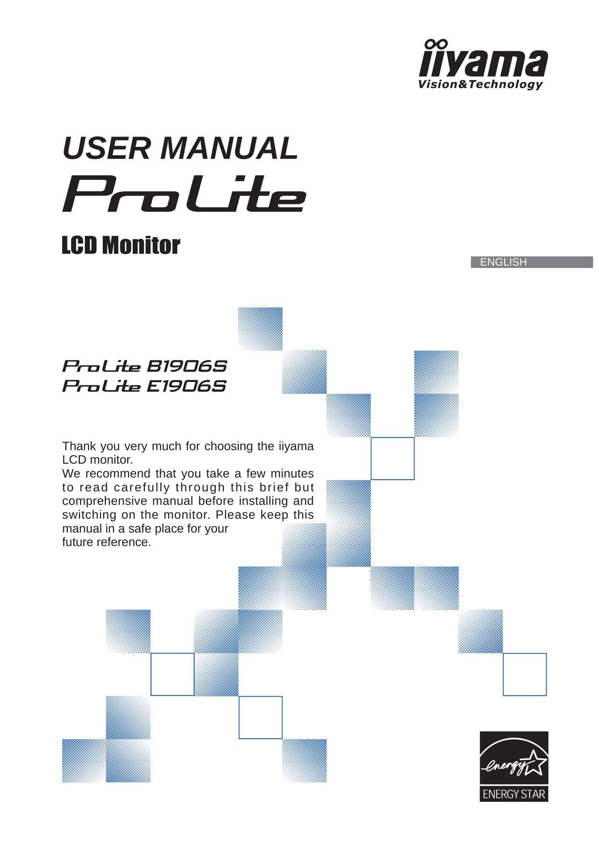 Iiyama E1906S Computer Monitor User Manual