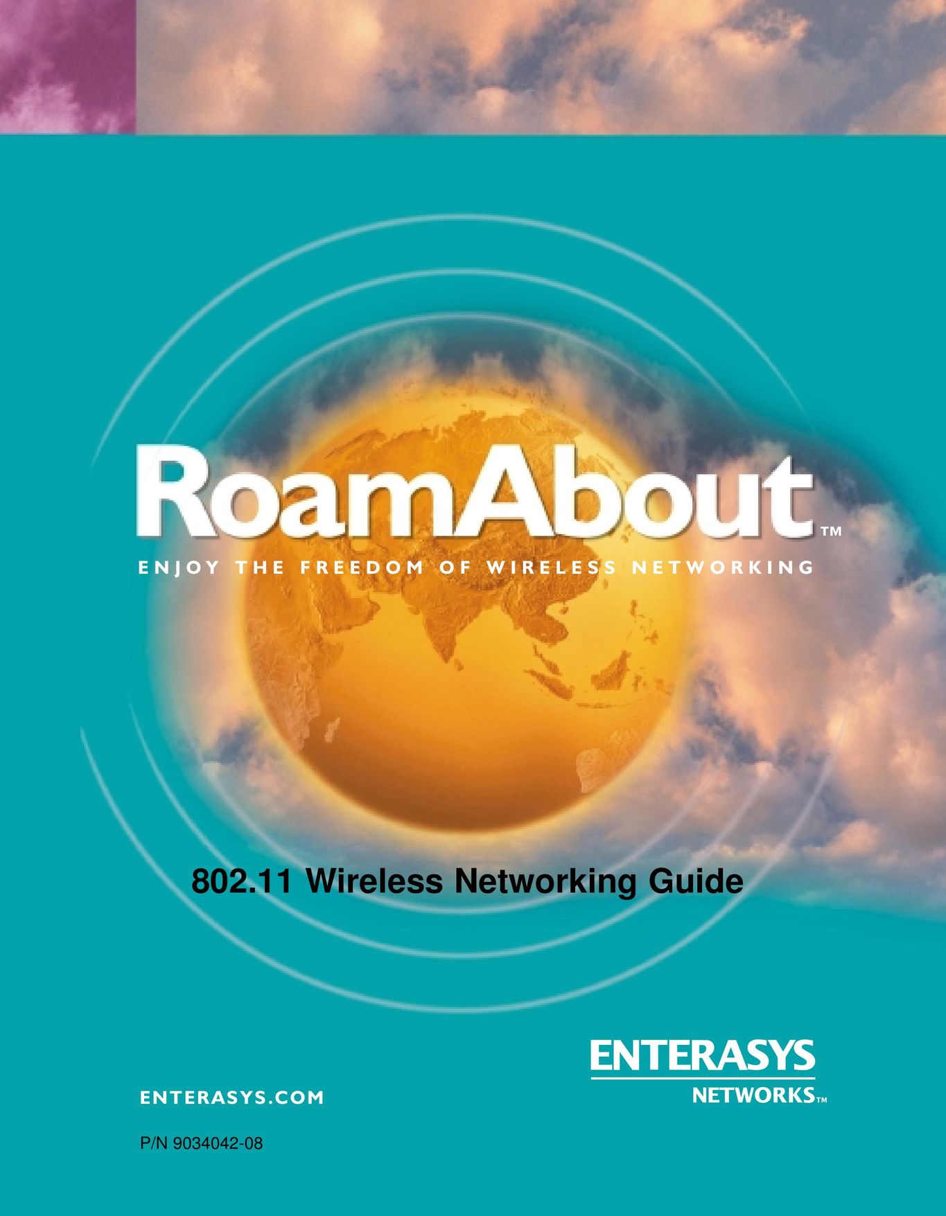 Enterasys Networks 802.11 Network Card User Manual