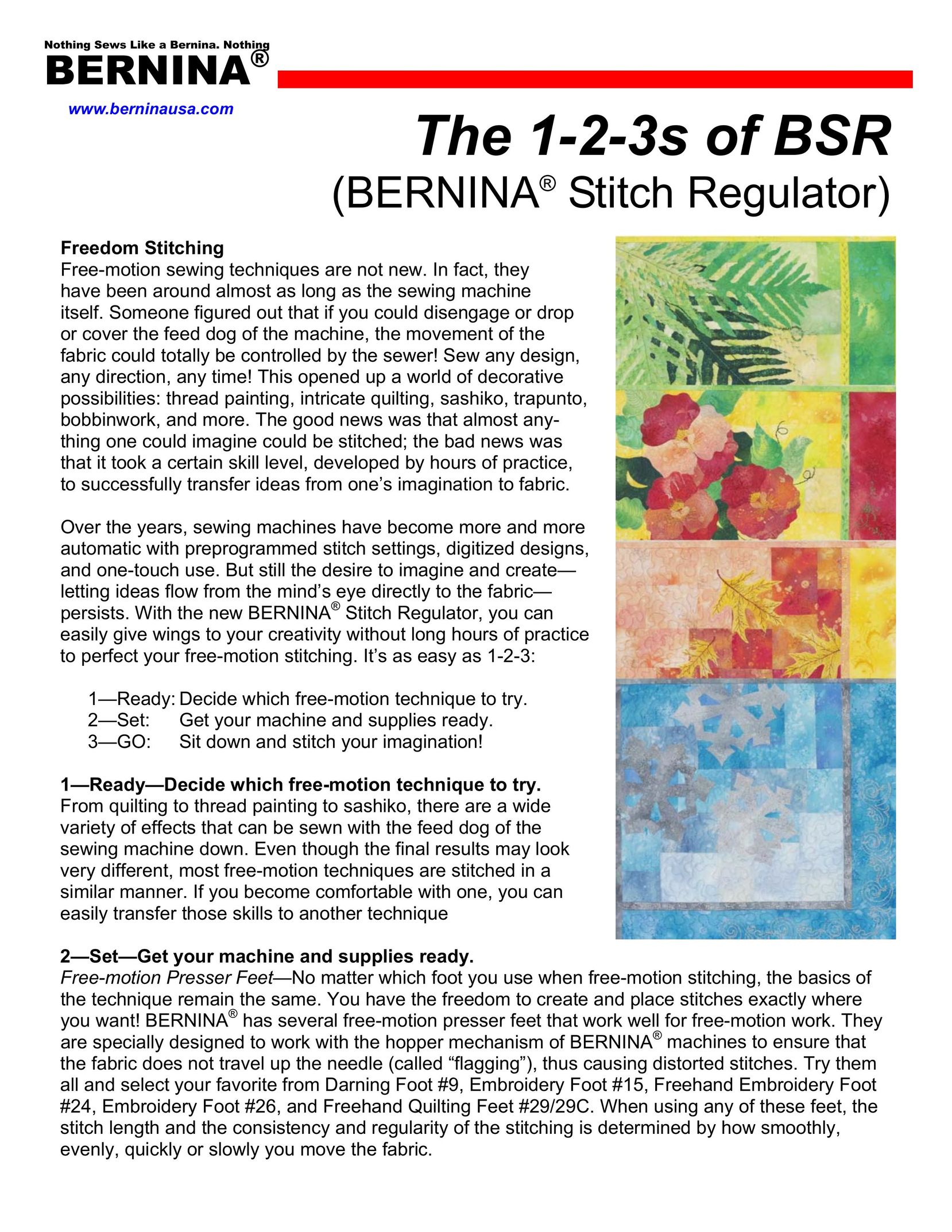 Bernina Switch Regulator Switch User Manual