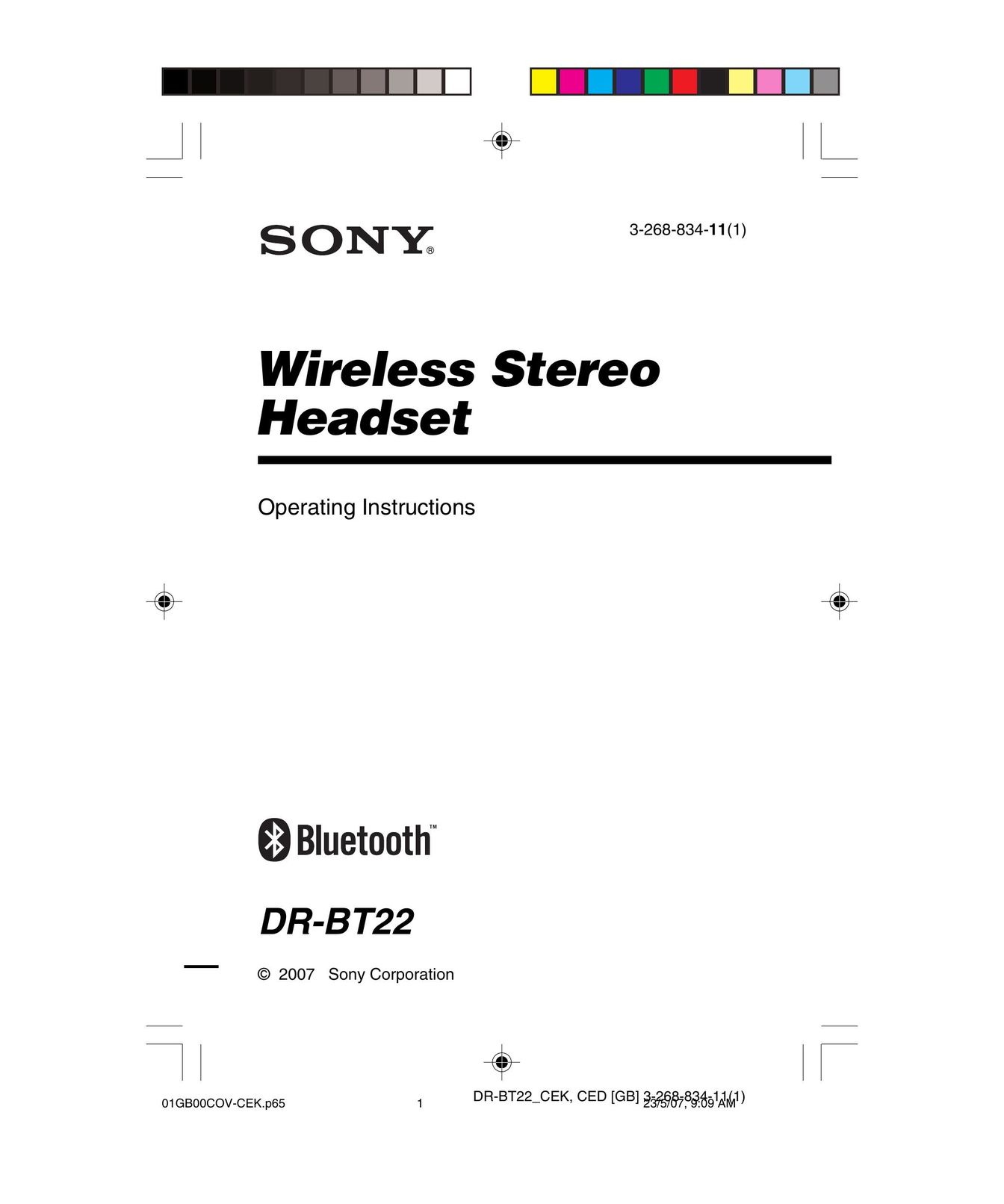 Sony BT22 Headphones User Manual