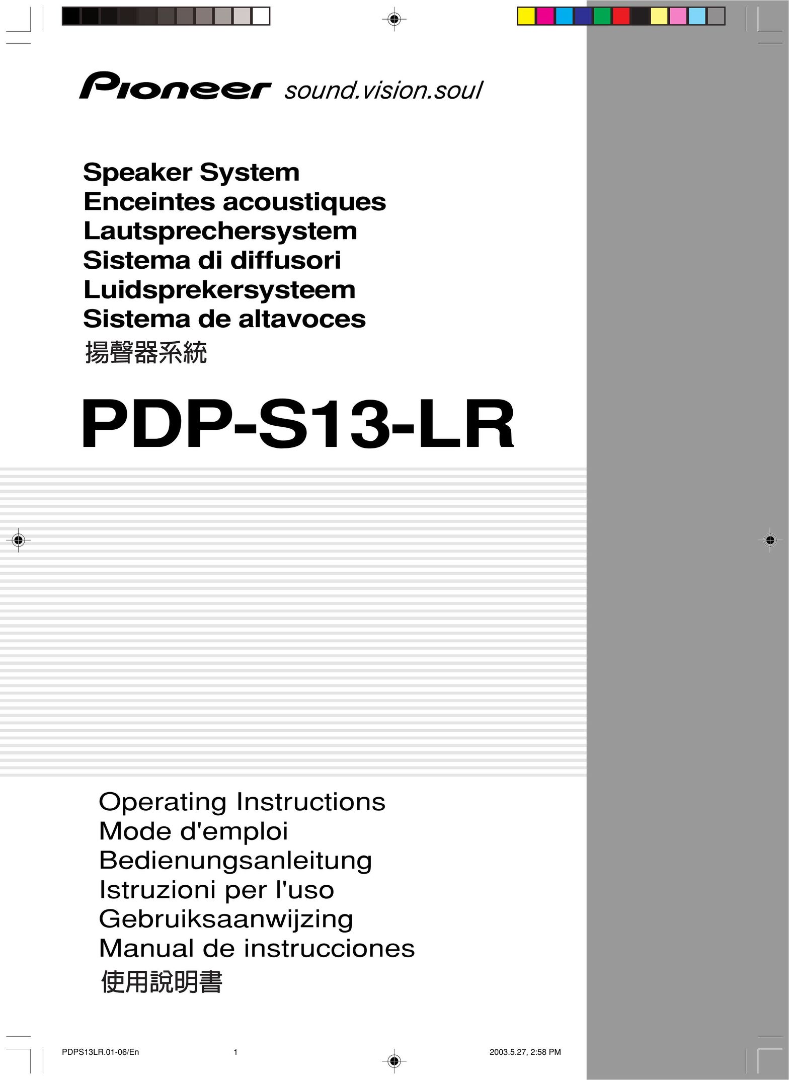 Pioneer PDP-S13-LR Speaker User Manual