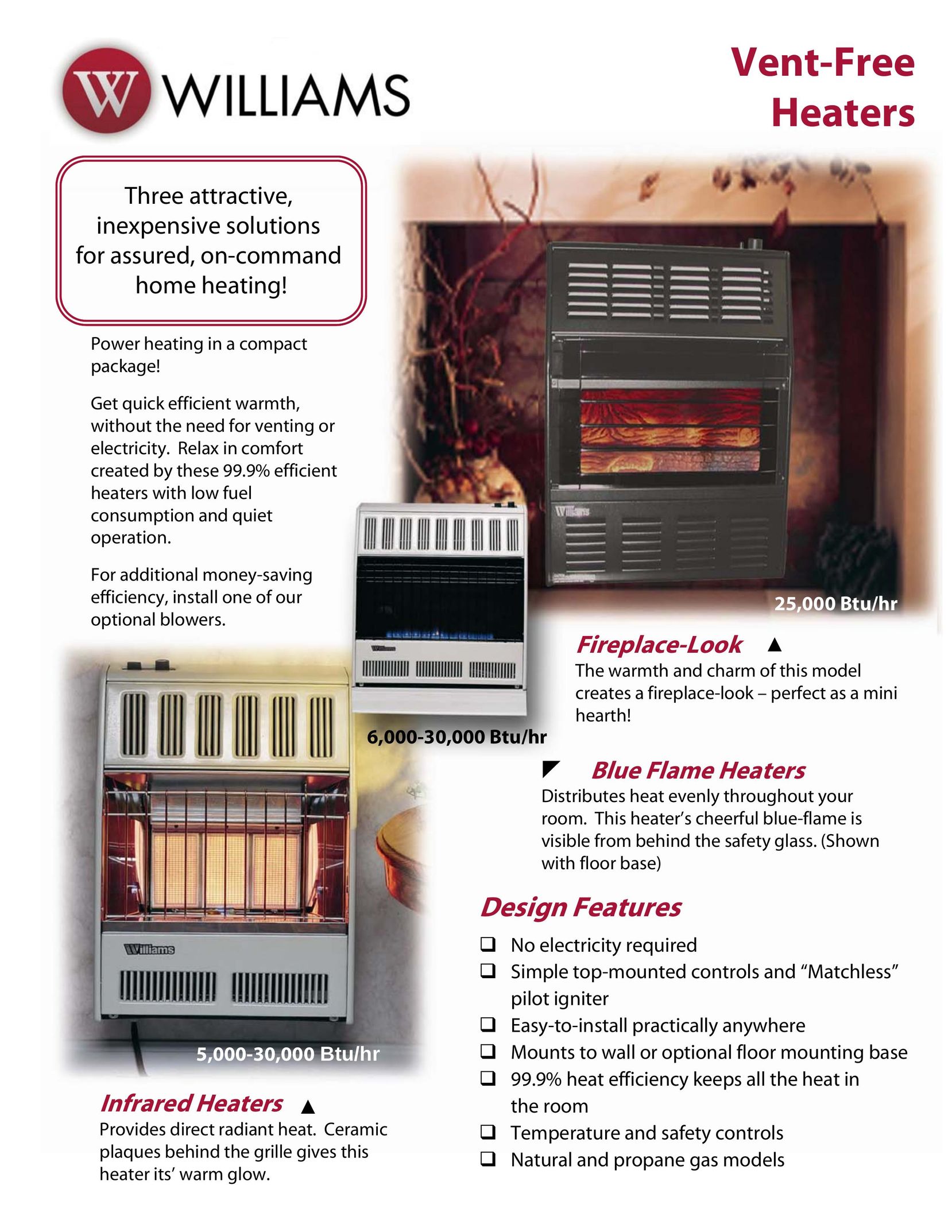 Williams 1556541 Gas Heater User Manual