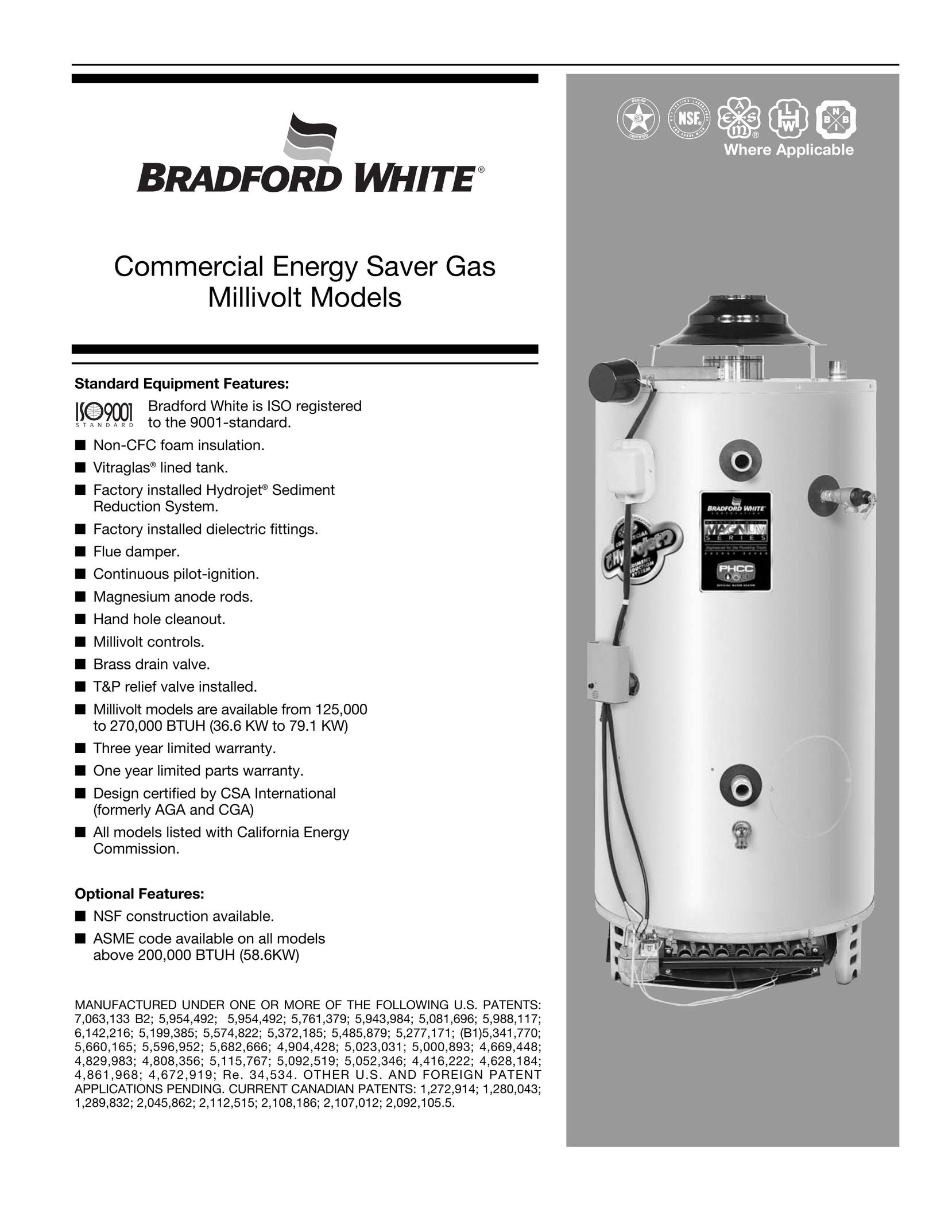 Bradford-White Corp Millivolt Thermostat User Manual