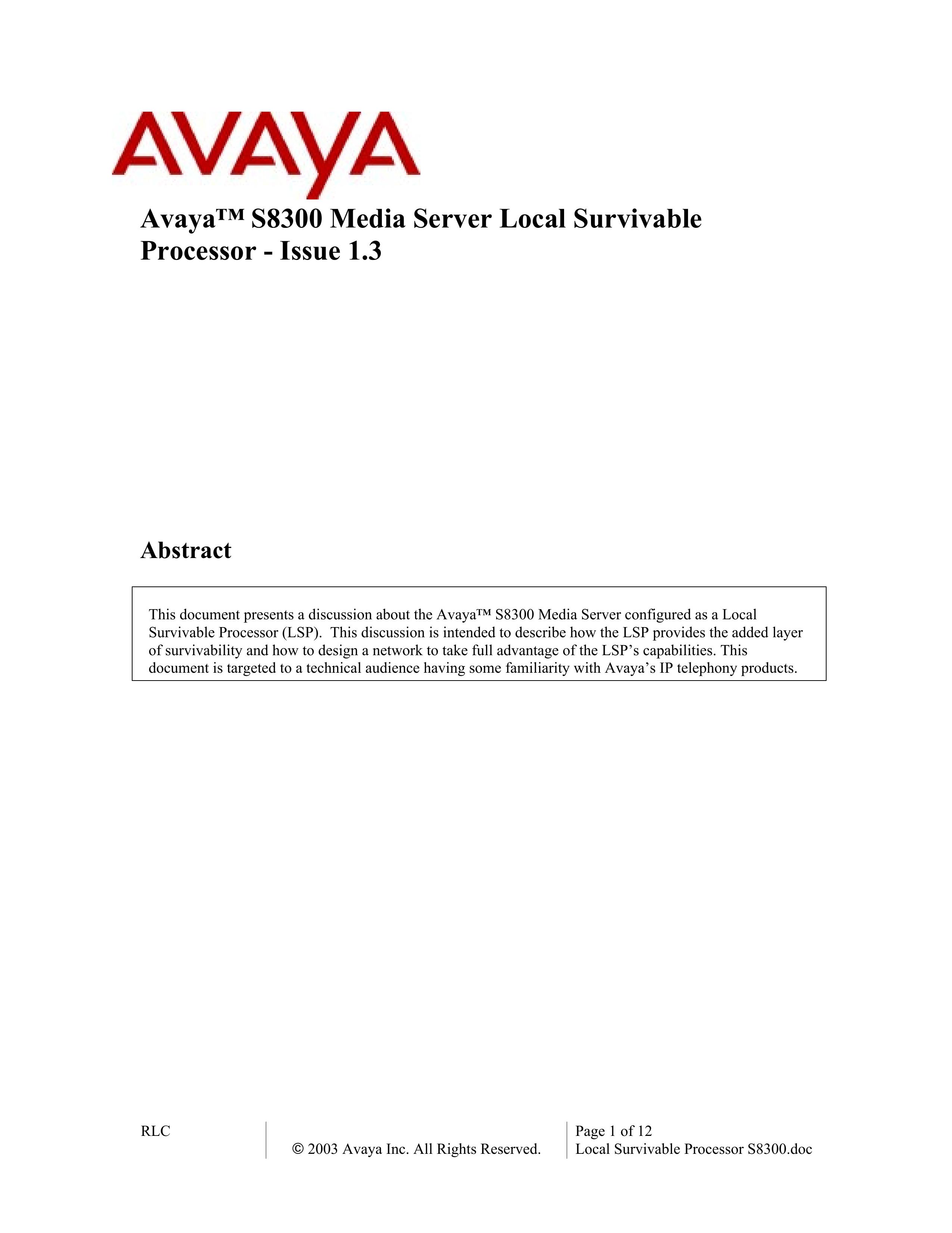 Avaya S8300 DJ Equipment User Manual