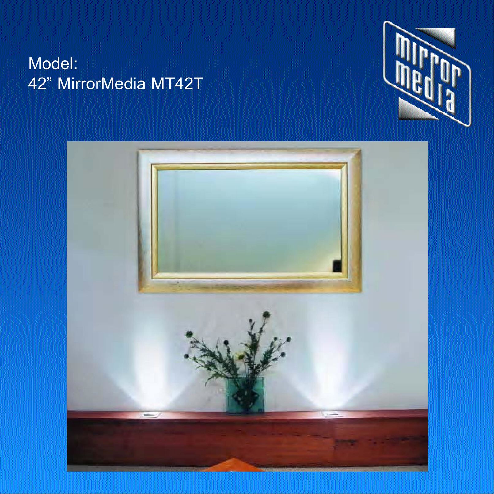 Mirror Media MT42T Flat Panel Television User Manual