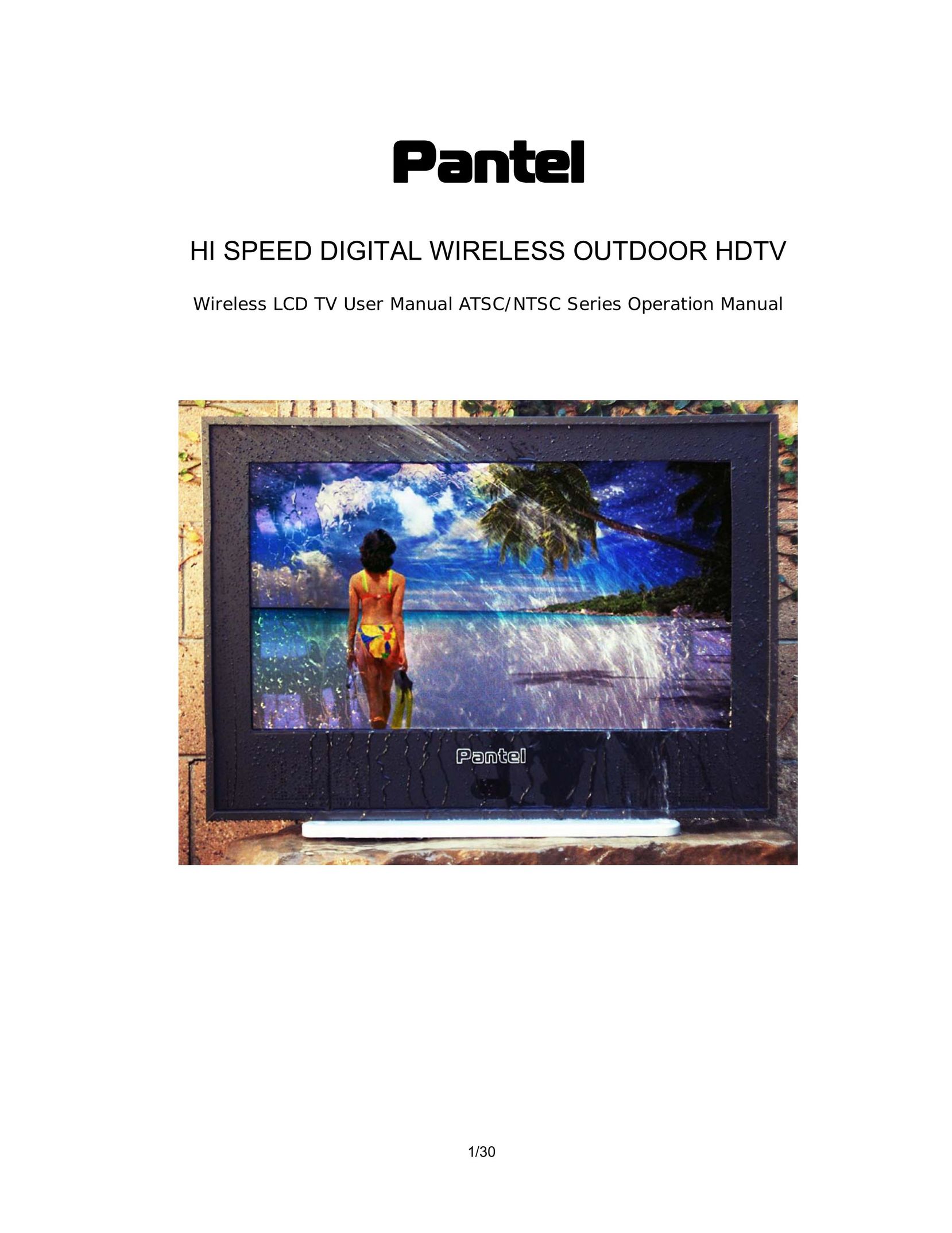 Pantel PAN200 Flat Panel Television User Manual