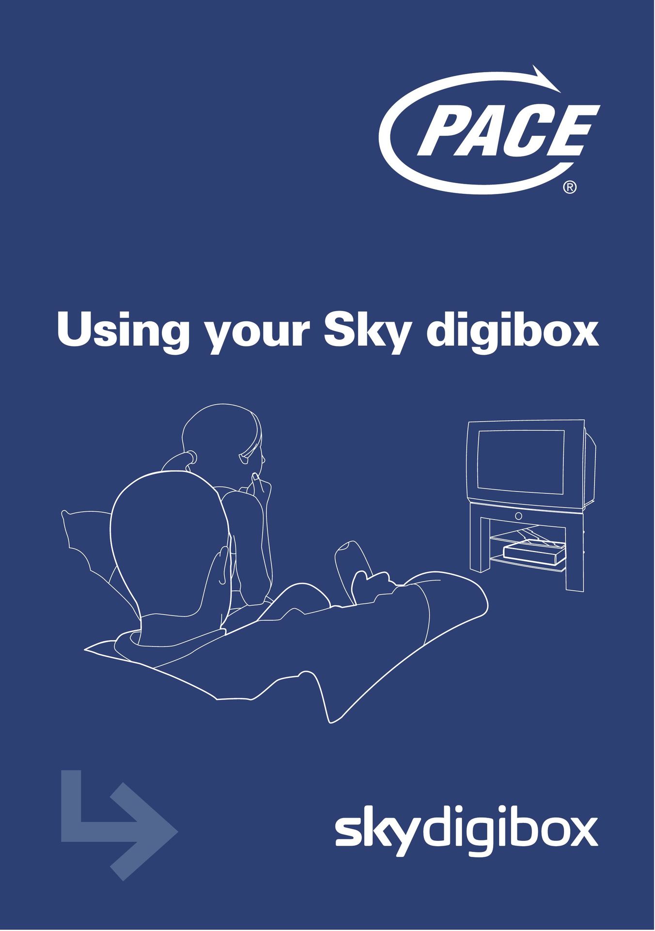 Daewoo digibox Satellite TV System User Manual