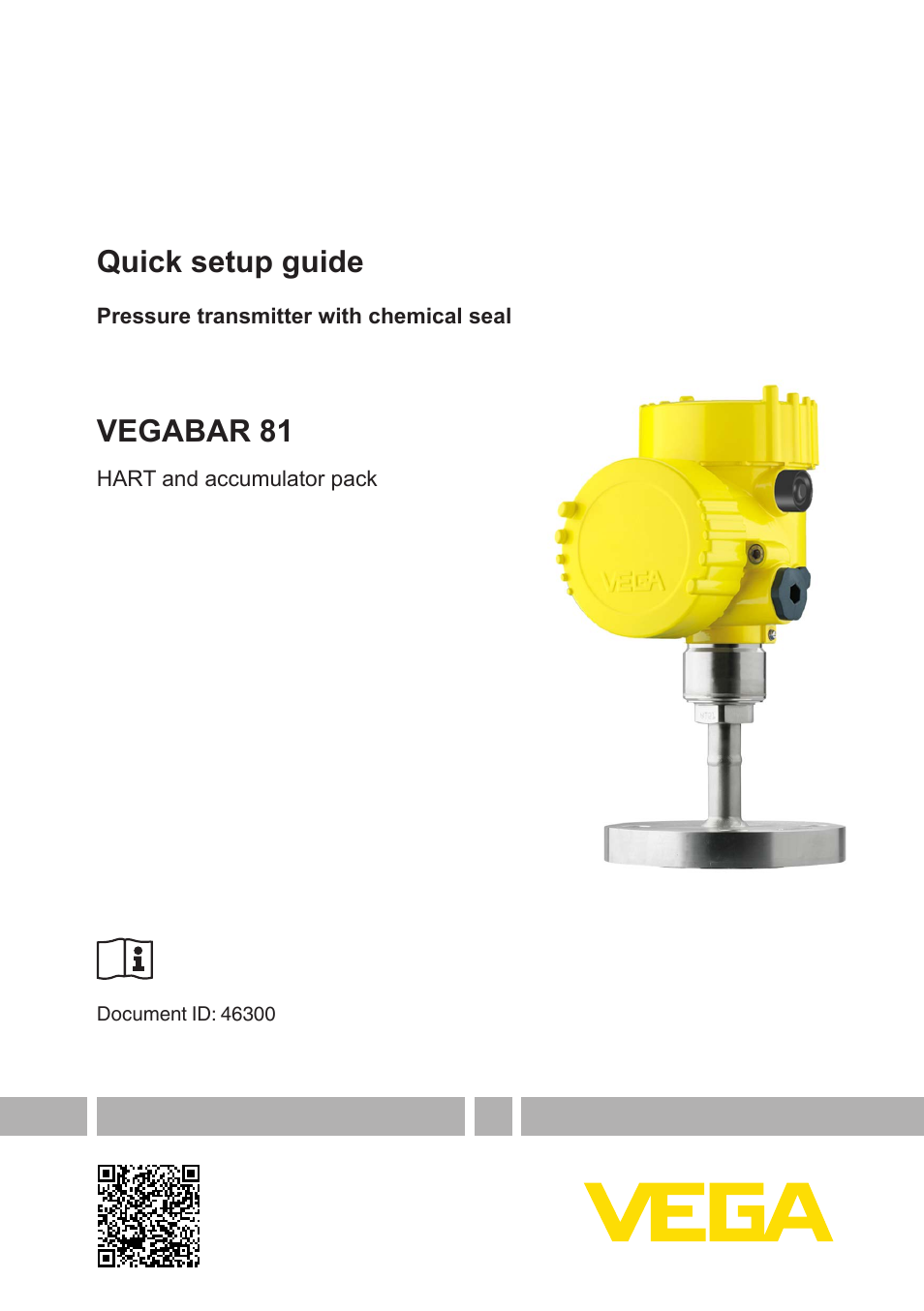 VEGABAR 81 HART and accumulator pack - Quick setup guide