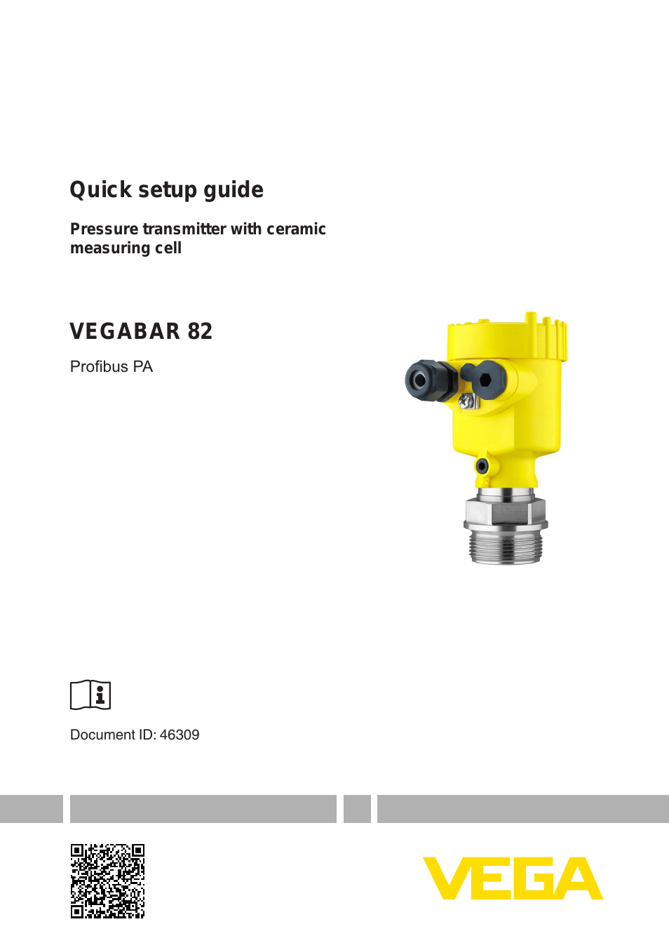 VEGABAR 82 Profibus PA - Quick setup guide