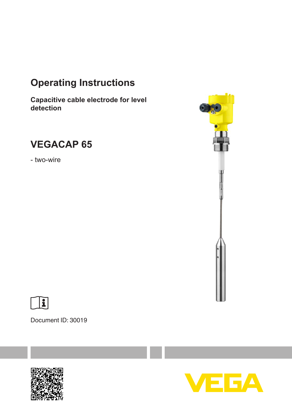 VEGACAP 65 - two-wire