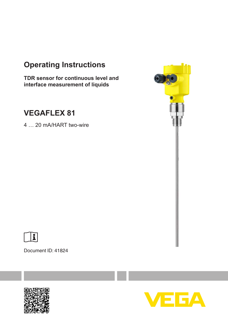 VEGAFLEX 81 4 … 20 mA_HART two-wire