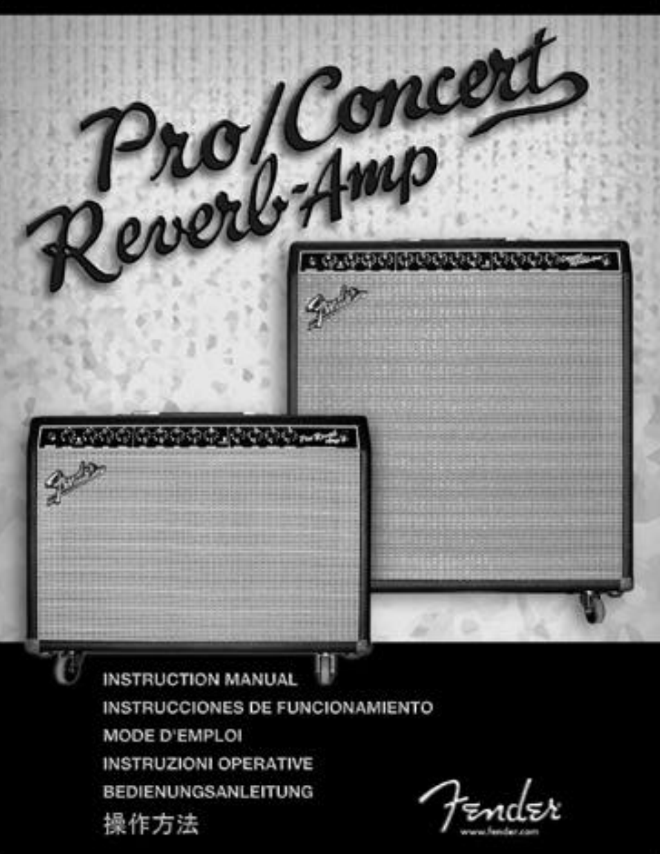Concert Reverb Amp