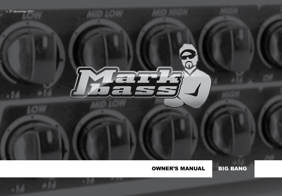 Bass Multiamp S