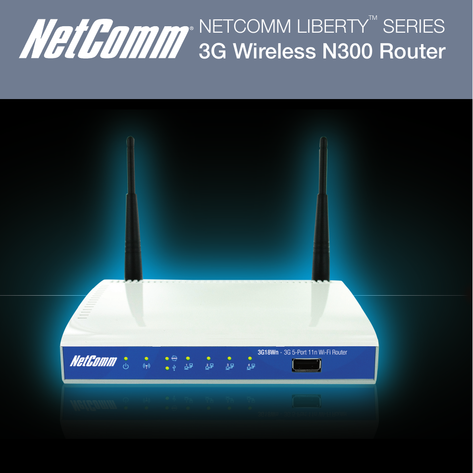 Router N300