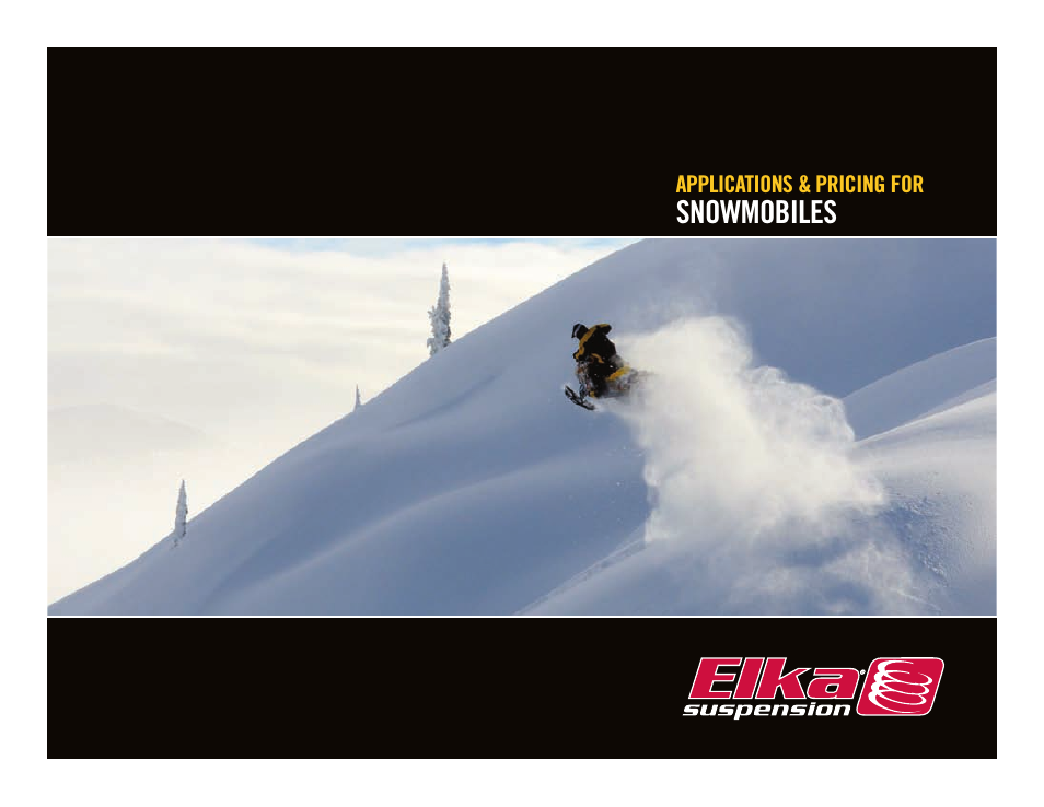 Stage 1_1+R Shock Absorbers for Snowmobiles