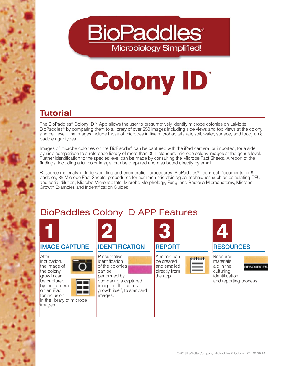BioPaddles Colony ID App