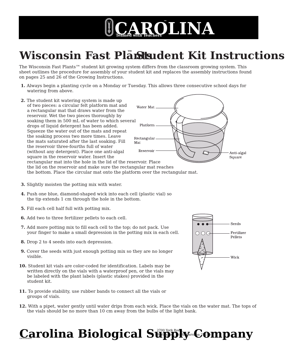Wisconsin Fast Plants Student Kit