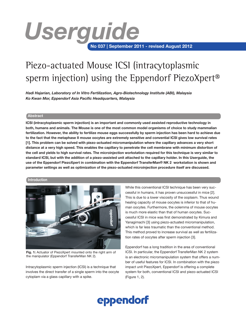 Piezo-actuated Mouse ICSI (intracytoplasmic sperm injection)