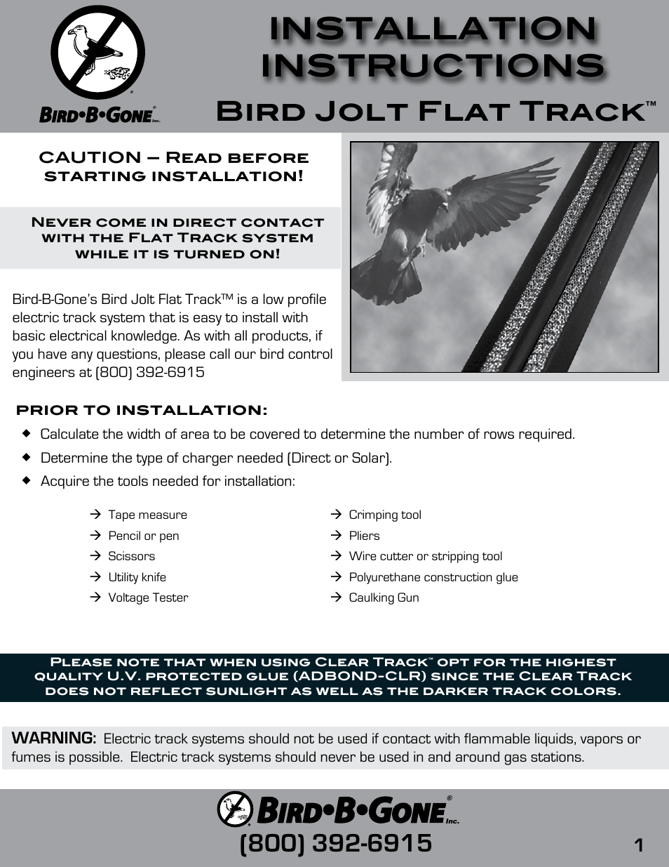 Bird Jolt Flat Track