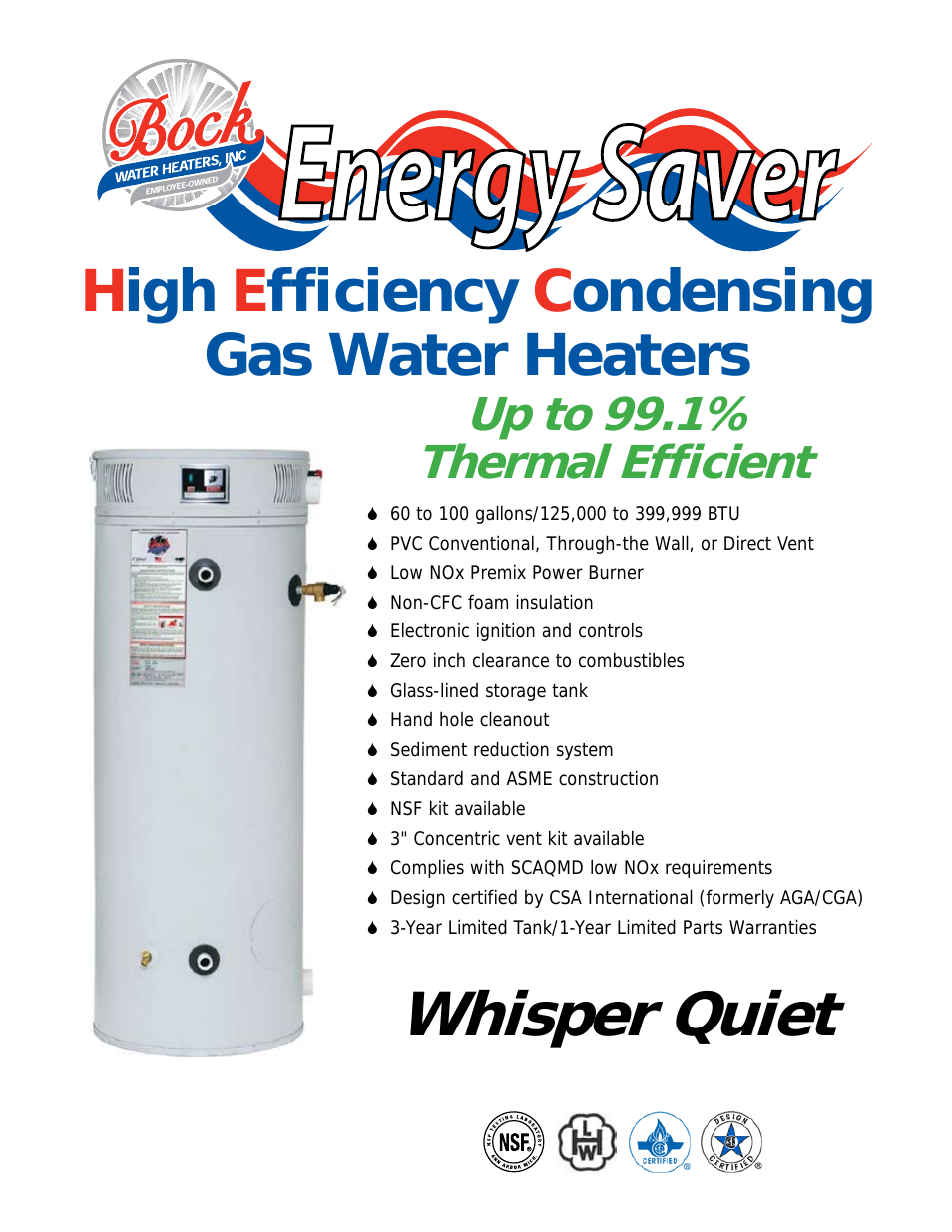 High Efficiency Condensing Gas Water Heaters